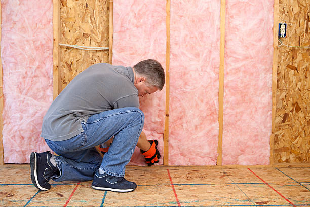 Best Insulation Maintenance and Repair in Elroy, WI