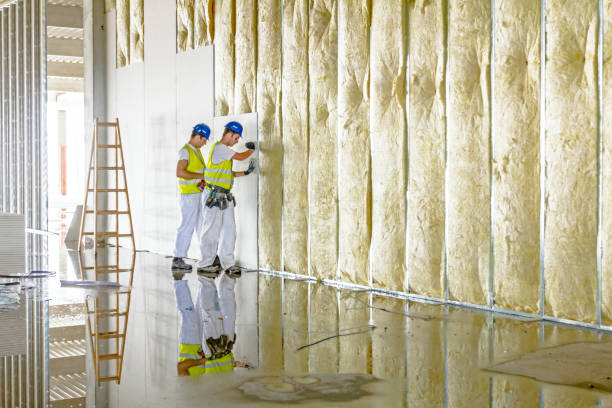 Best Commercial Insulation in Elroy, WI